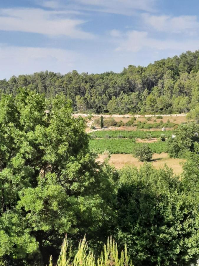 Charmante Demeure Au Coeur De La Provence Verte 布拉 外观 照片